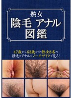 熟女陰毛アナル図鑑