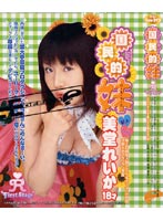 国民的妹 ～アイドル美堂れいか～