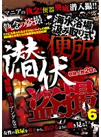 海水浴場汲み取り式便所 潜伏盗撮 6